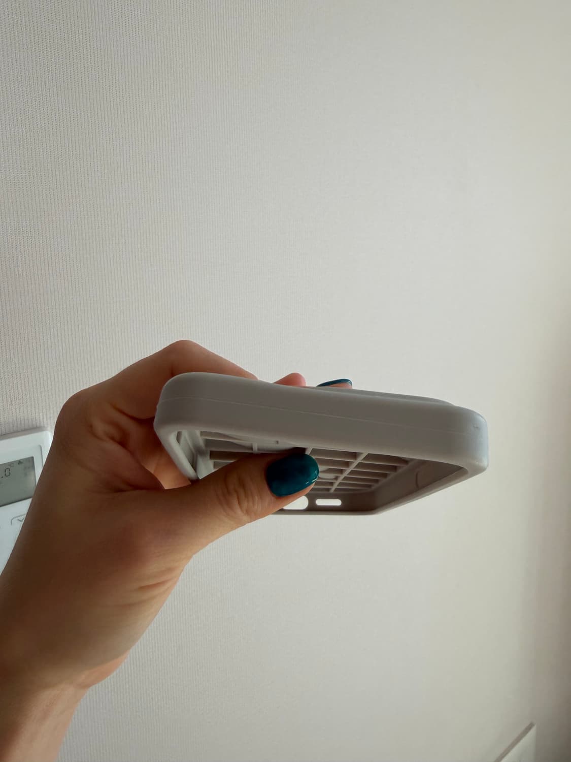 rhode 립 케이스 헤일리비버 로드 상품이미지10