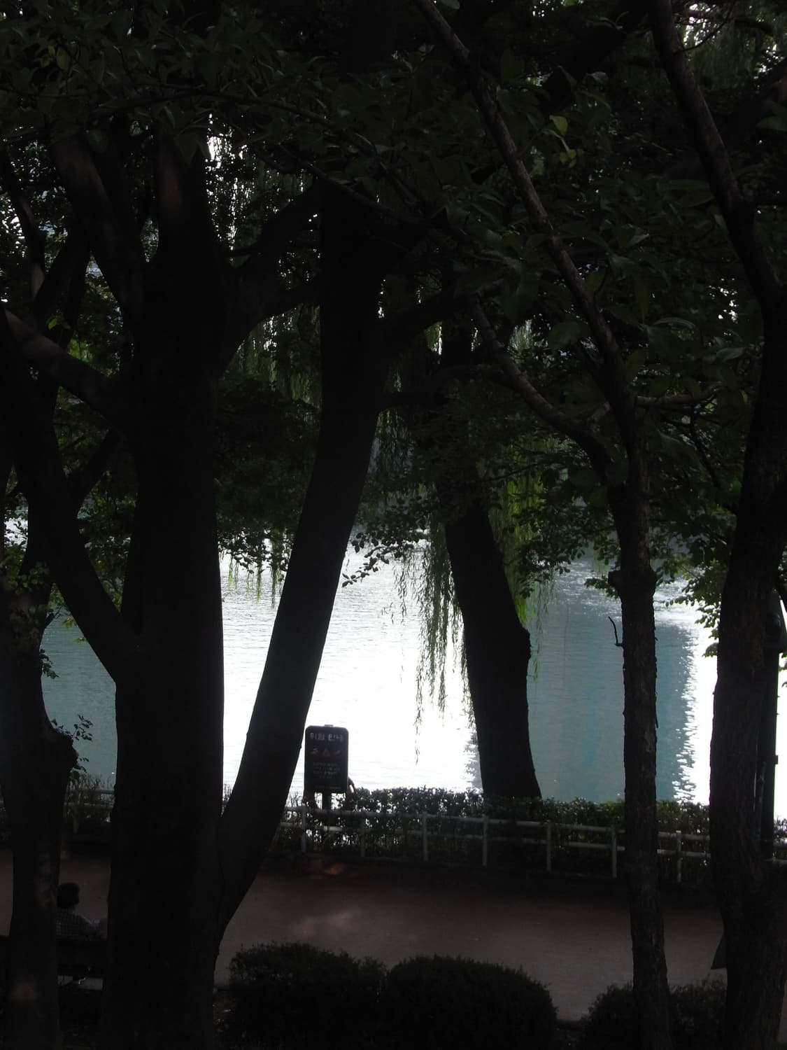 리코 r8 (작례 O) 상품이미지8