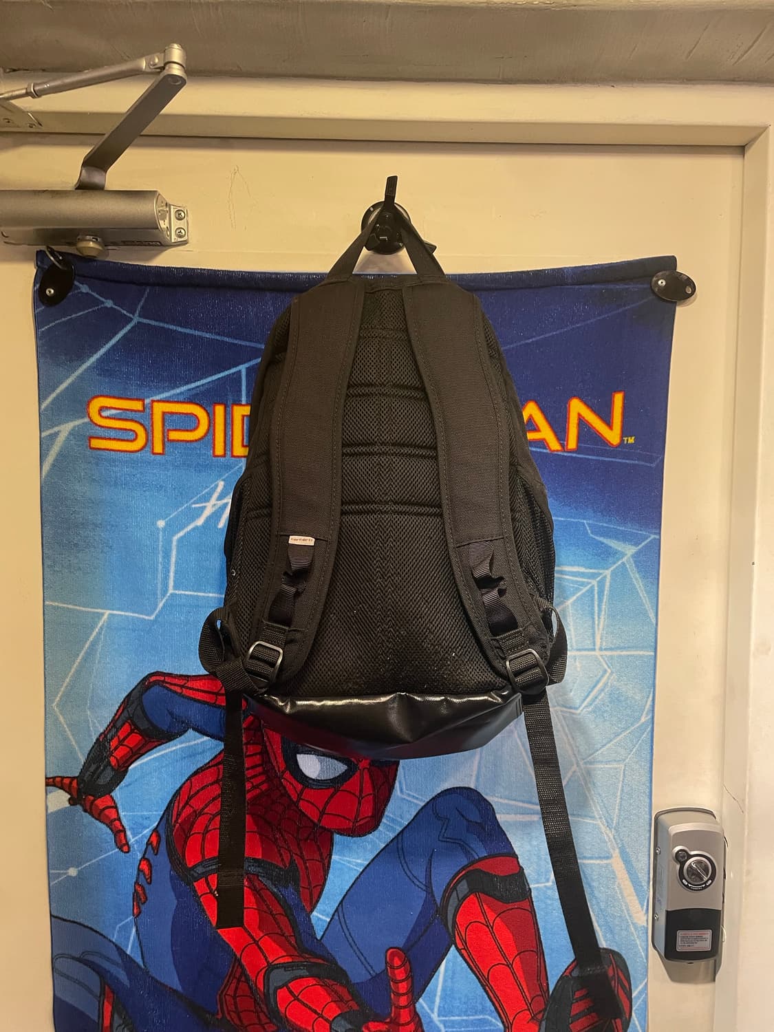 칼하트 백팩  상품이미지4