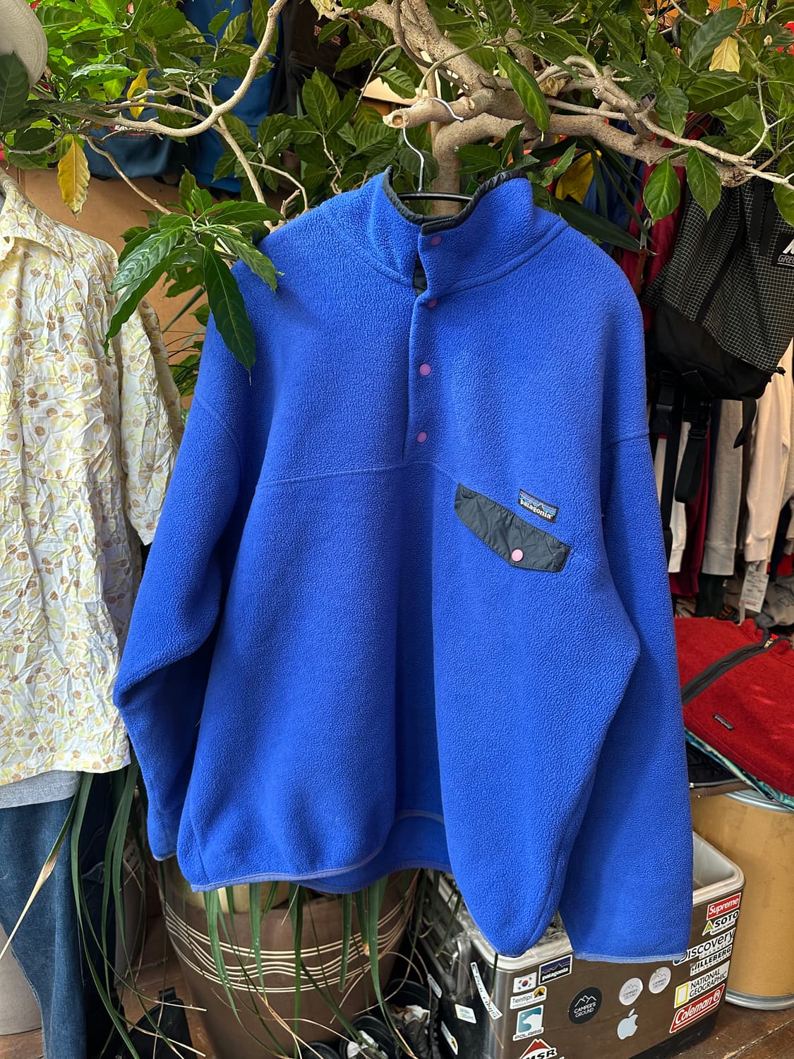 Z-387 파타고니아 신칠라  상품이미지1