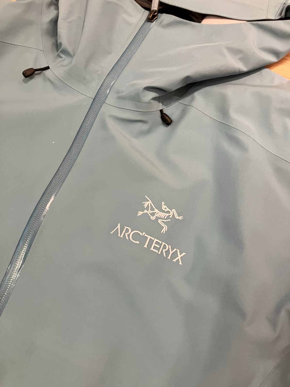 아크테릭스 베타 LT 솔레스 L사이즈 상품이미지3