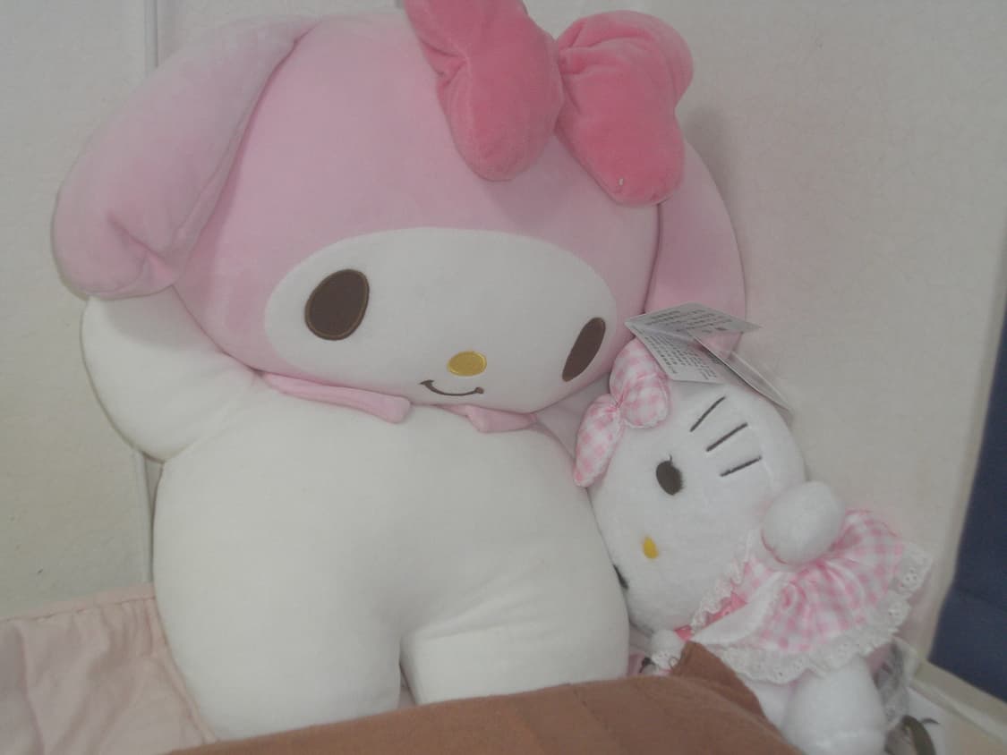 카시오 디카 엑슬림 z700 상품이미지6