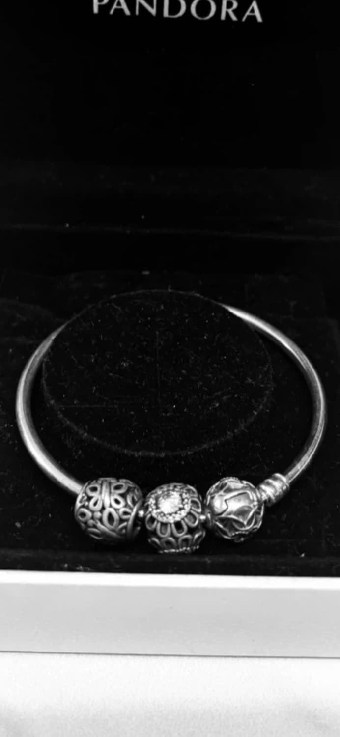 판도라 팔찌 + 참 장식 풀세트 / 판도라 실버 팔찌 / 판도라 상품이미지2