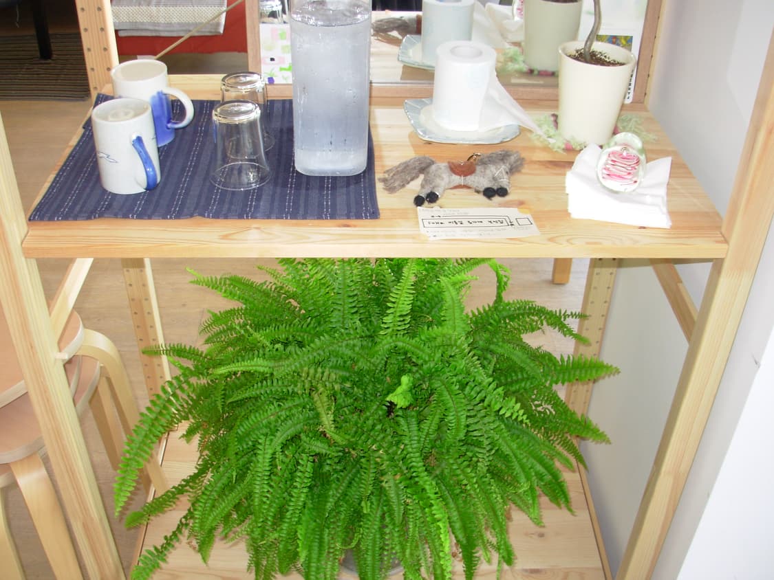 니콘 쿨픽스 L1(작례o) 상품이미지7