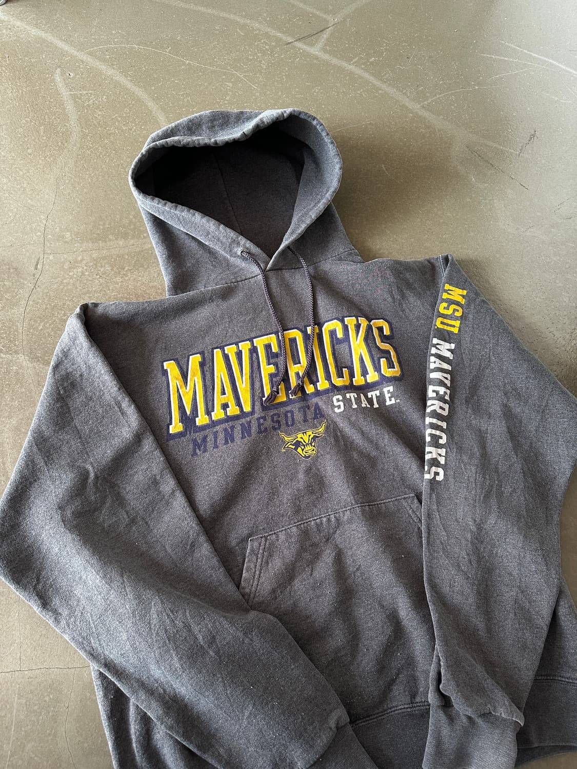 Champion Authentic 라인 컬리지 후드 상품이미지2