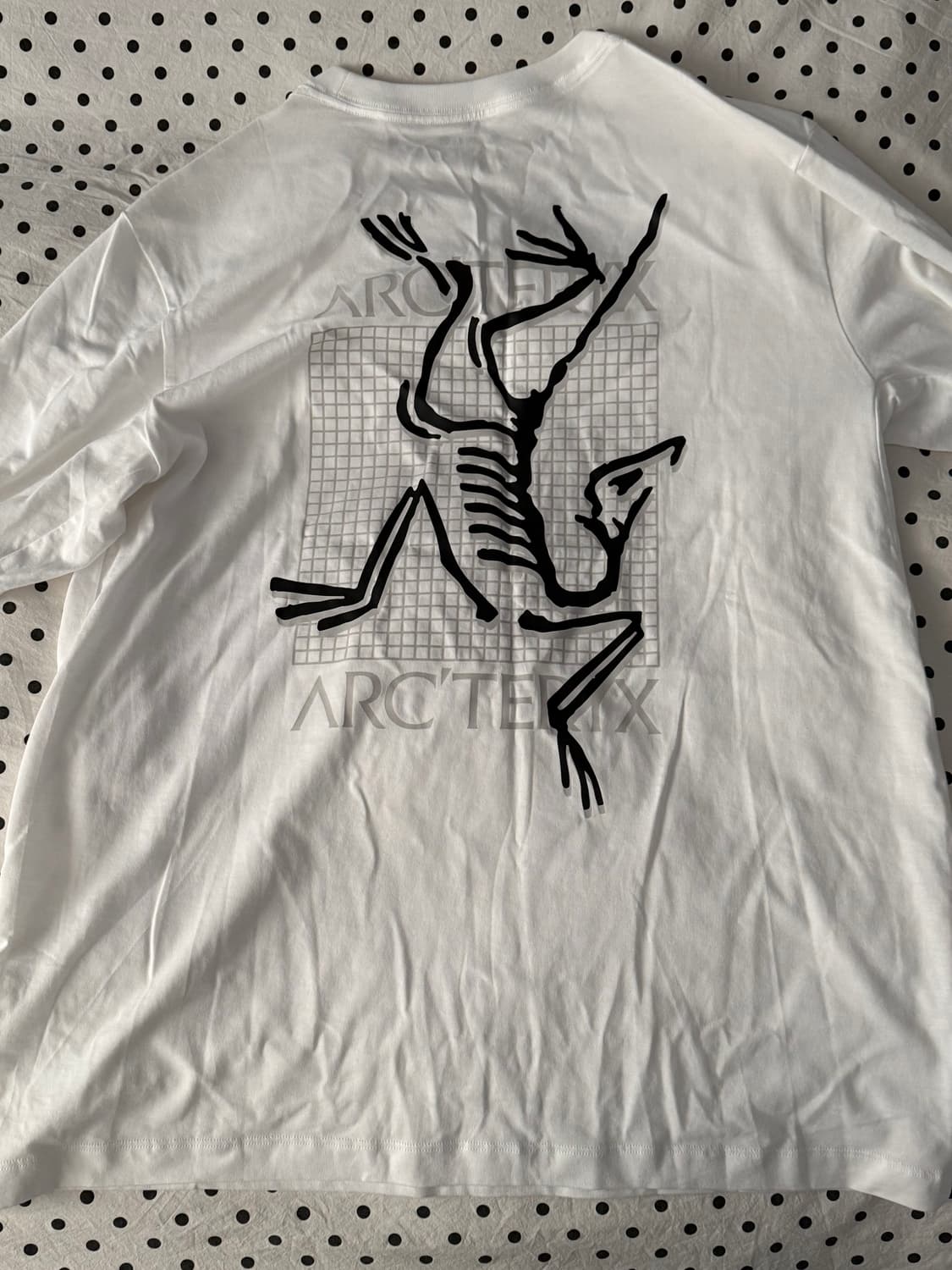 [L] 아크테릭스 아크멀티 버드 로고 롱슬리브 상품이미지2