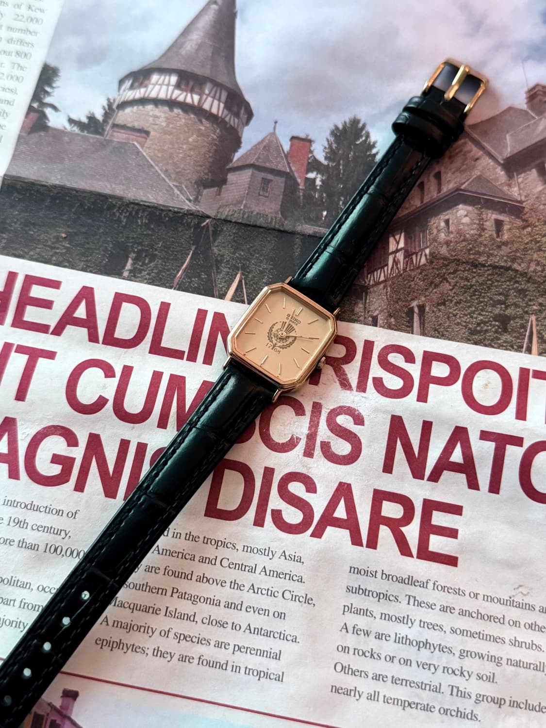 세이코 Seiko 쿼츠 스퀘어 1768 골드 레이디스 상품이미지2