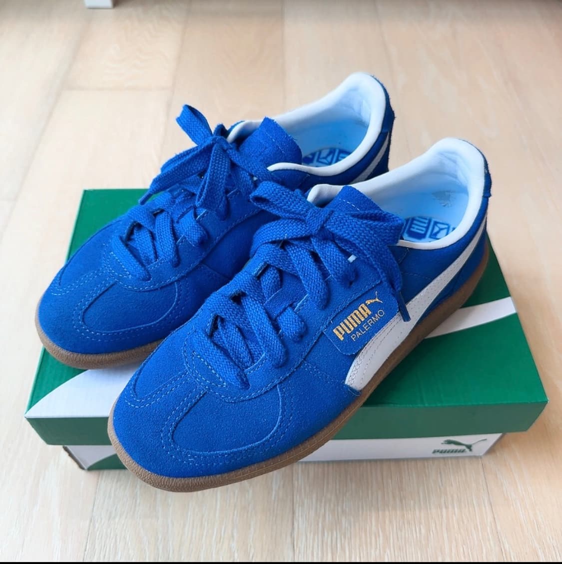 푸마 팔레르모 블루 스니커즈240 상품이미지3