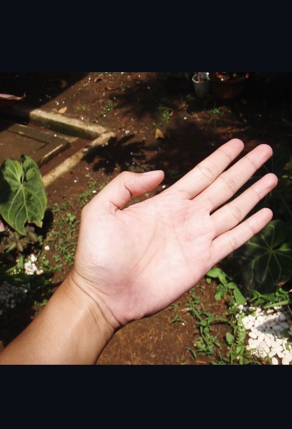 올림푸스 스타일러스 850sw 디지털카메라 상품이미지9