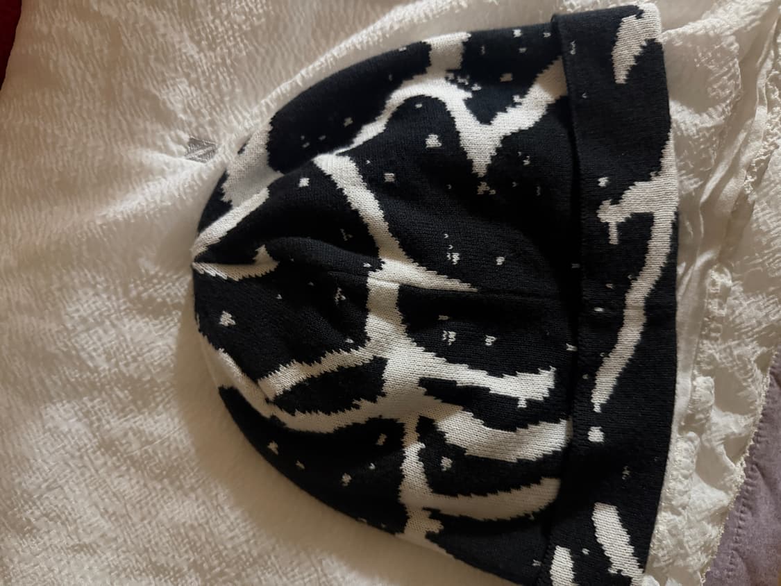 아크테릭스 비니 상품이미지2