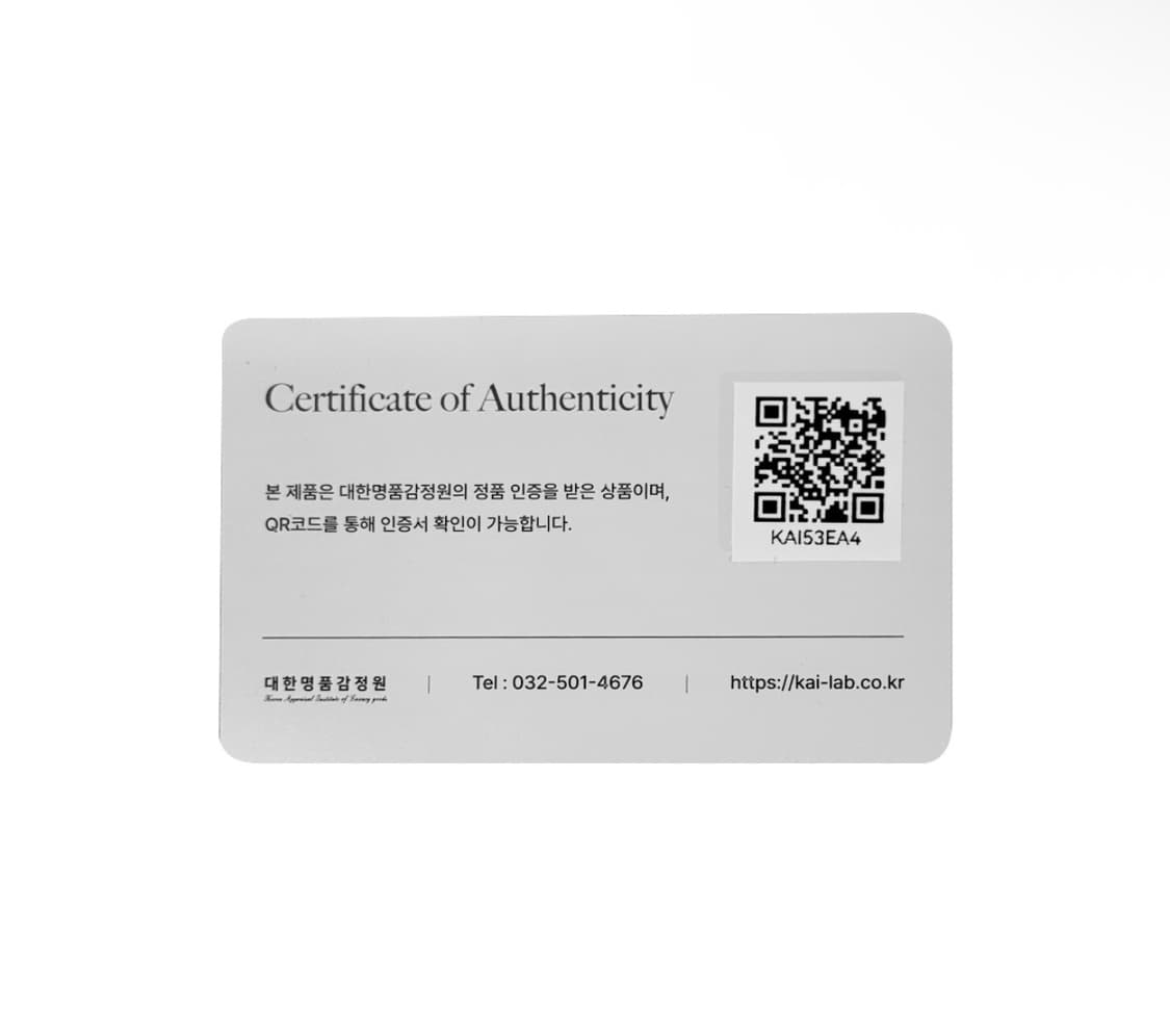 LV 루이비통 여성 버블그램 모노그램 월릿 온 스트랩 체인 크로스백 블루 상품이미지9