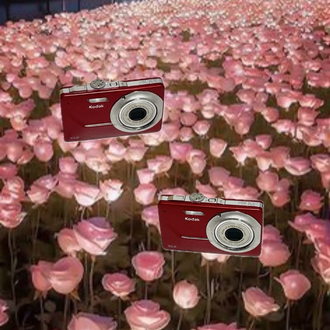 입문!) Kodak Easyshare M340디카캠코더 상품이미지1