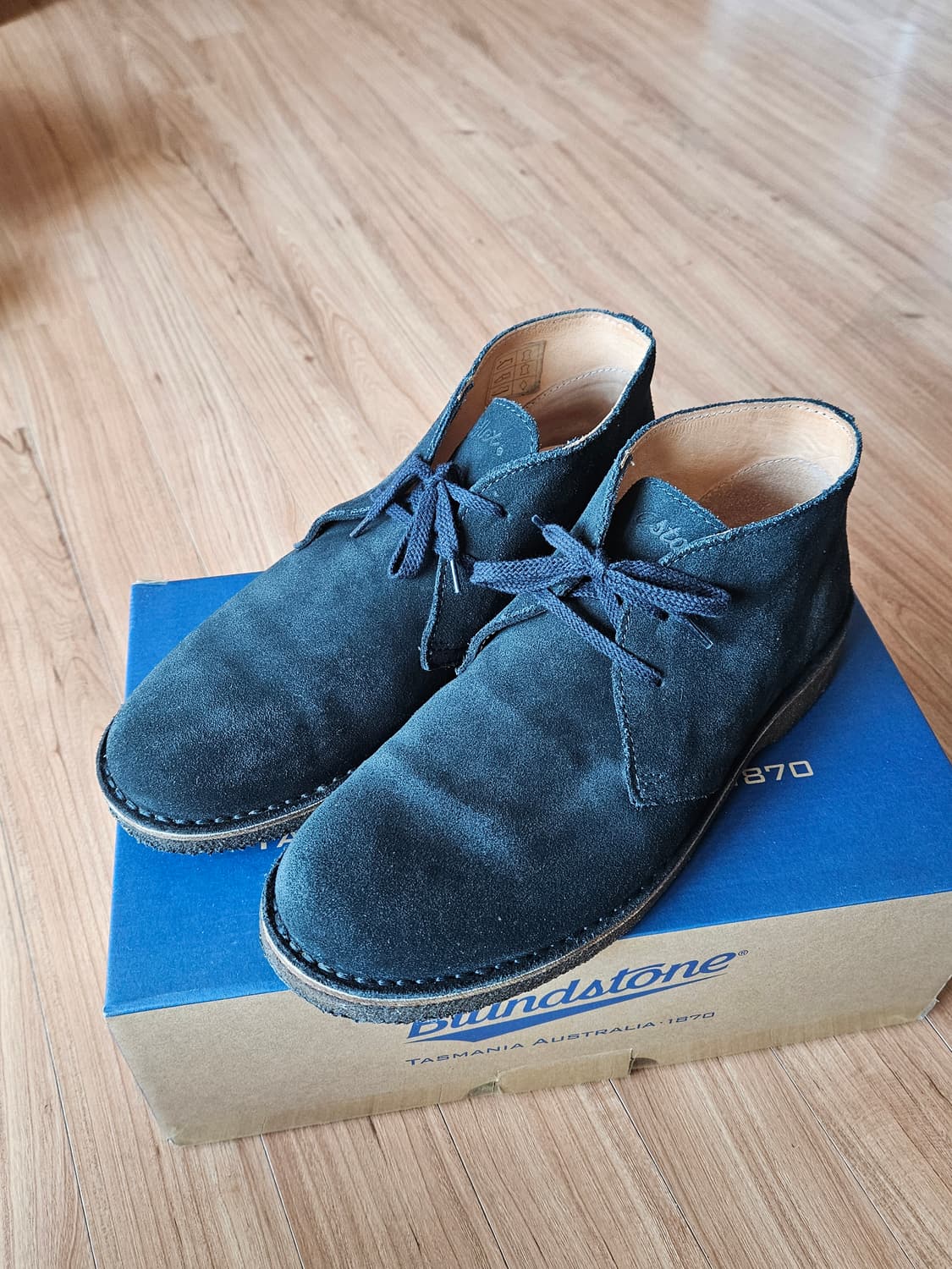 아스토플렉스 42 (270) 네이비 상품이미지1