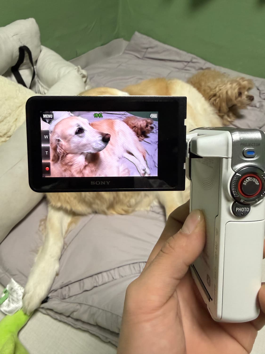 Sony HDR-GWP88 소니캠코더 소니카메라 소니핸디캠 상품이미지7