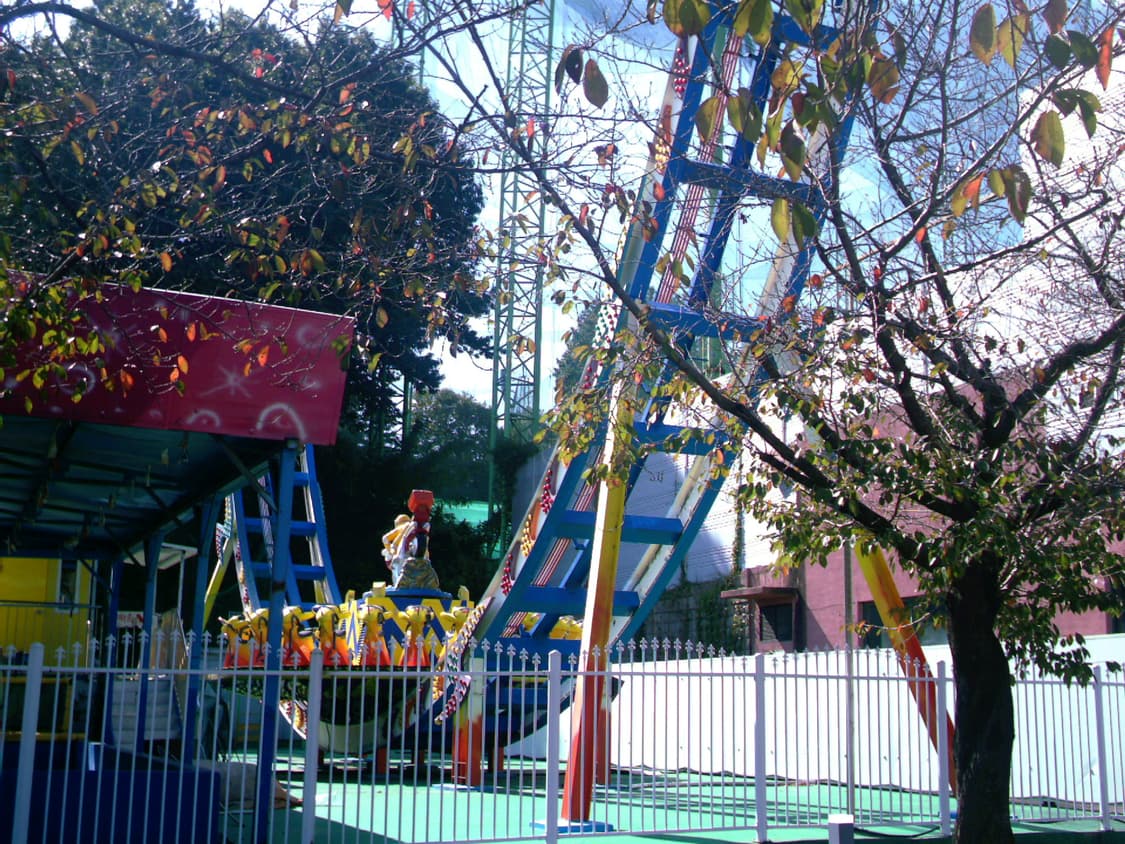 비비타 비비캠 vivitar vivicam 3785 상품이미지9