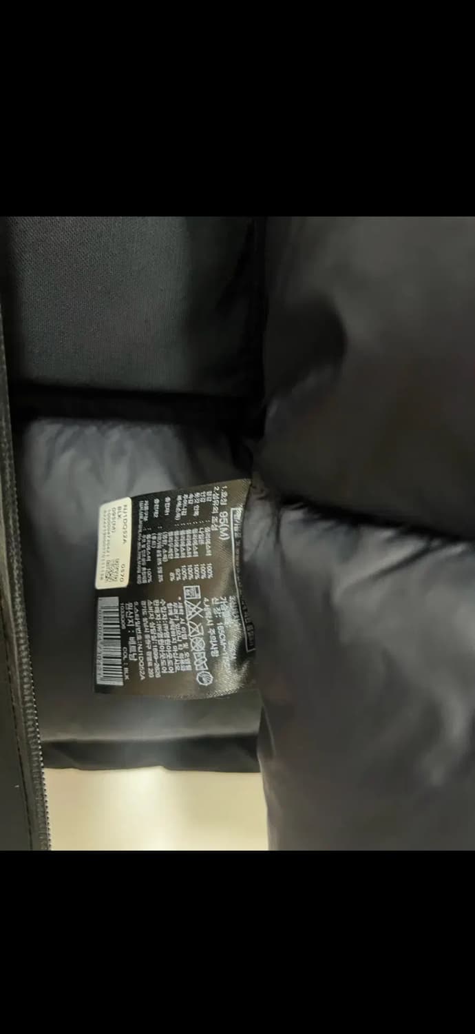 노스페이스 펠릭스 rds 디운 패딩 상품이미지5