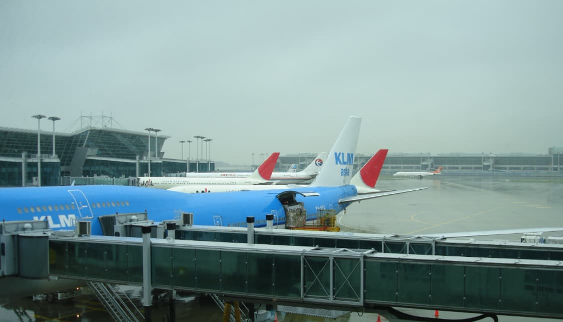 Sony cyber-shot 소니 사이버 샷 디카 작례 O 상품이미지9