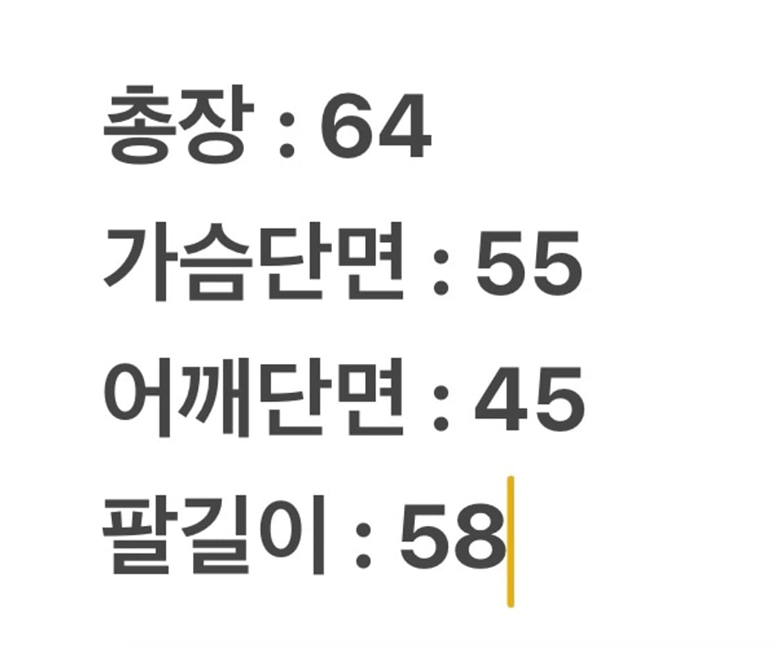 [ 정품/S,90 ] 노스페이스 화이트라벨 맨톤 바람막이 자켓 상품이미지7