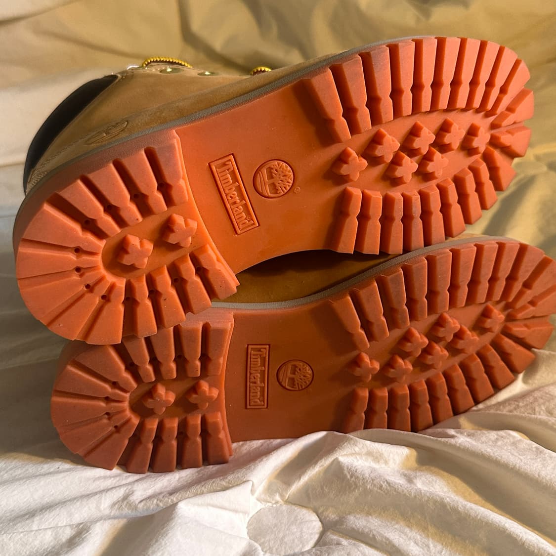 팀버랜드 6인치 부츠 보이즈, 여성 240 새상품 상품이미지4