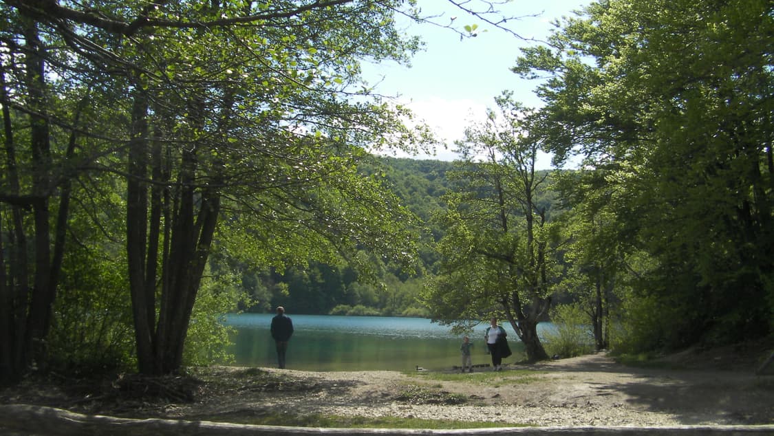 산요 작티 CG11 한글지원 (작례 o) 상품이미지3