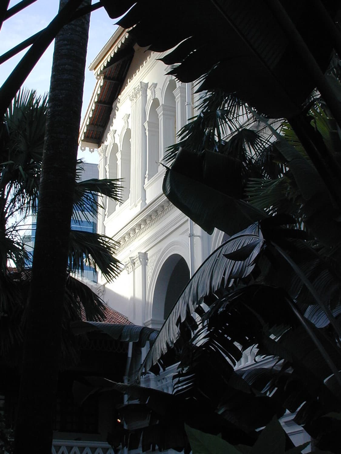 니콘 쿨픽스 800 상품이미지8