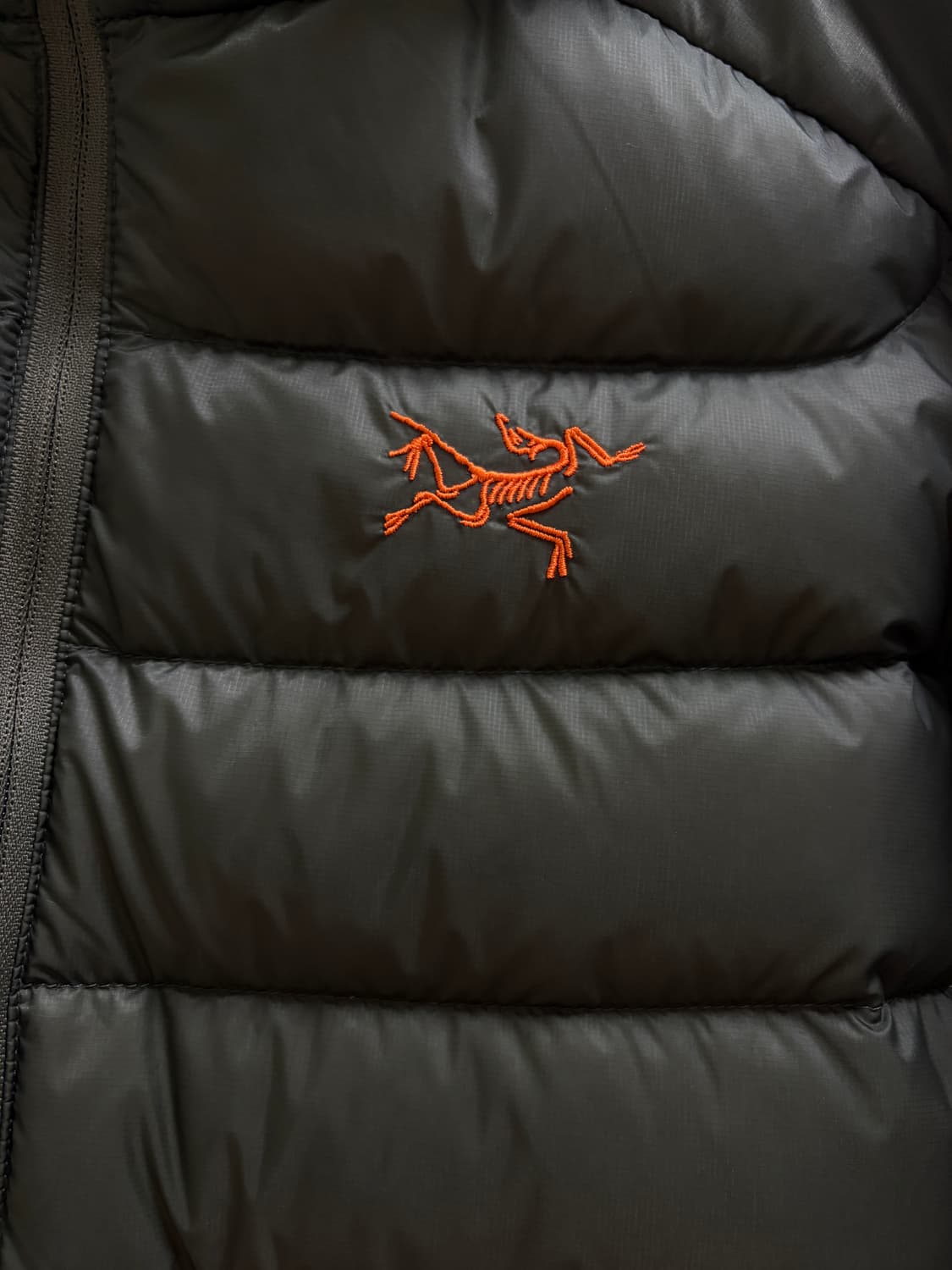 아크테릭스 세륨 후디 포리지 베르베 L 상품이미지2