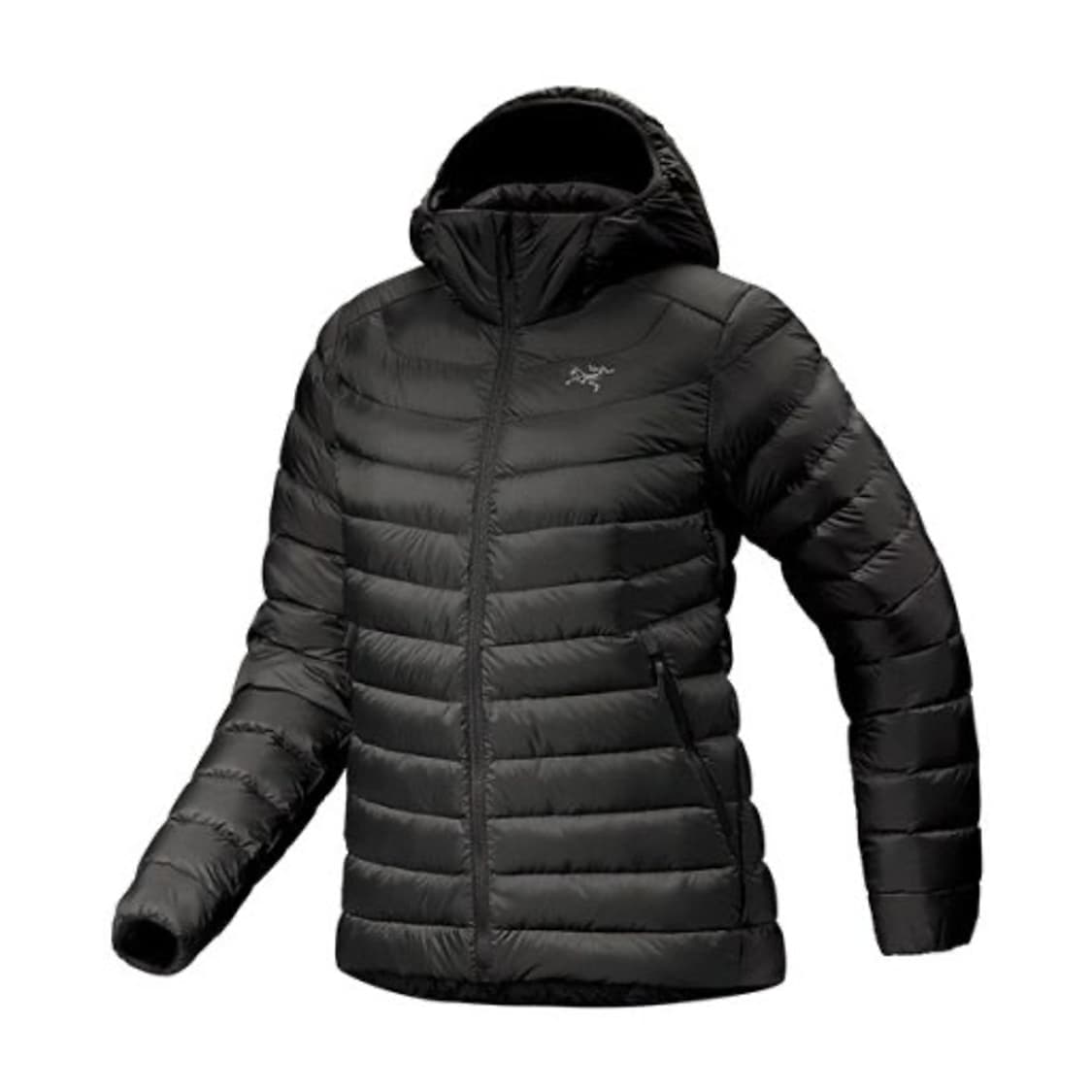 [XL] 아크테릭스 세륨 후디 블랙 상품이미지1