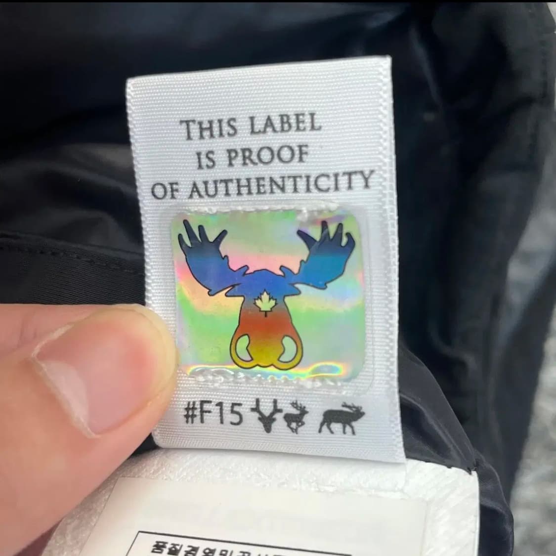 무스너클 여성 패딩 베스트 (XS) 상품이미지5