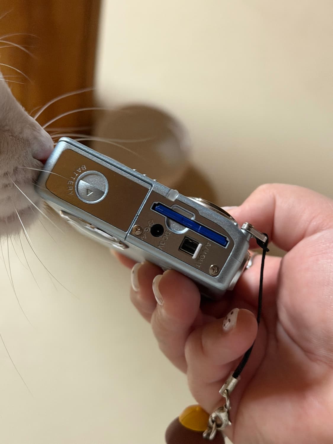 작례o) 민트급 미놀타 디미지x20 블루 상품이미지6