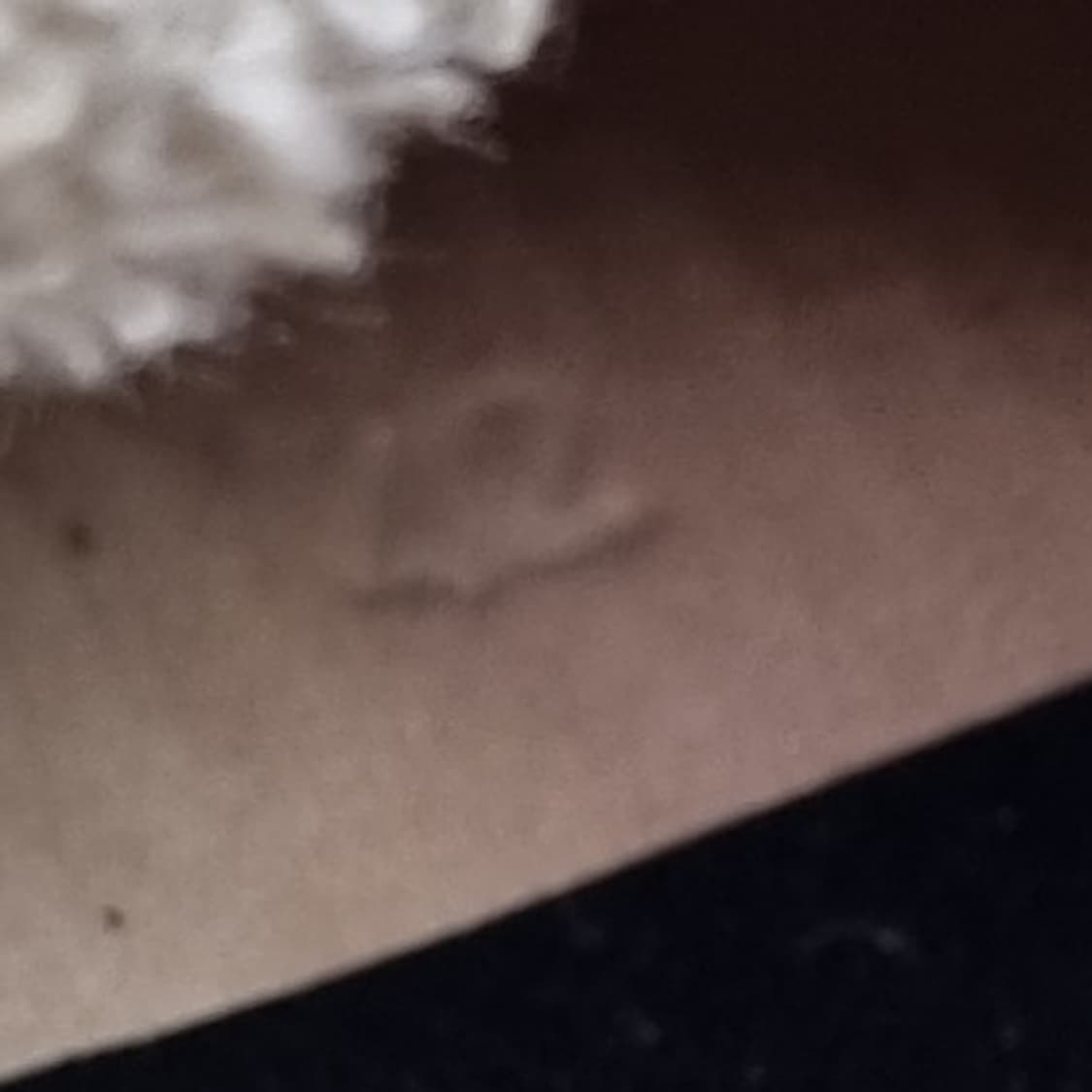 골든구스 프란시 남성하이탑 42 270 상품이미지6