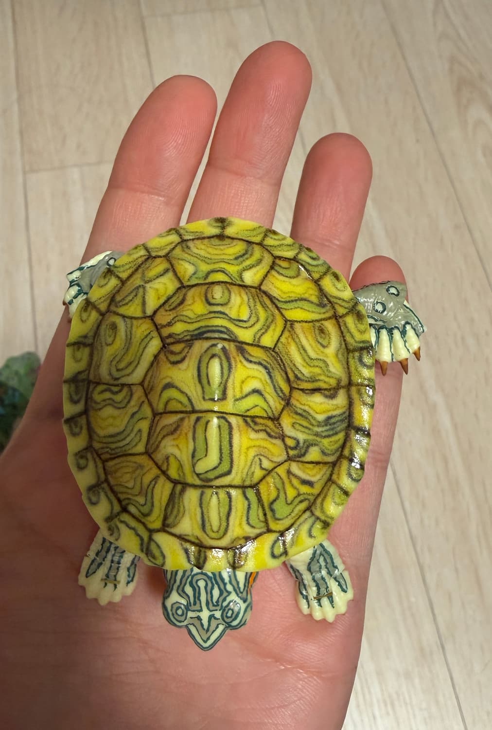 반다이 생물대도감 어드밴스 거북02 붉은귀거북 파스텔 상품이미지2