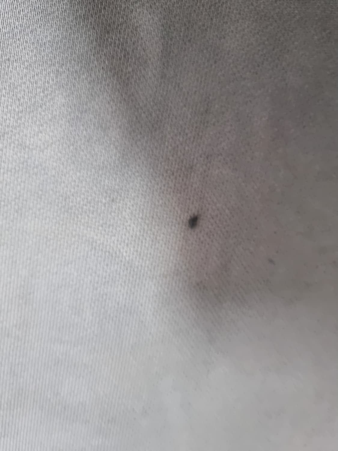 떠그 클럽 락 후드 그레이 3사이즈 상품이미지5