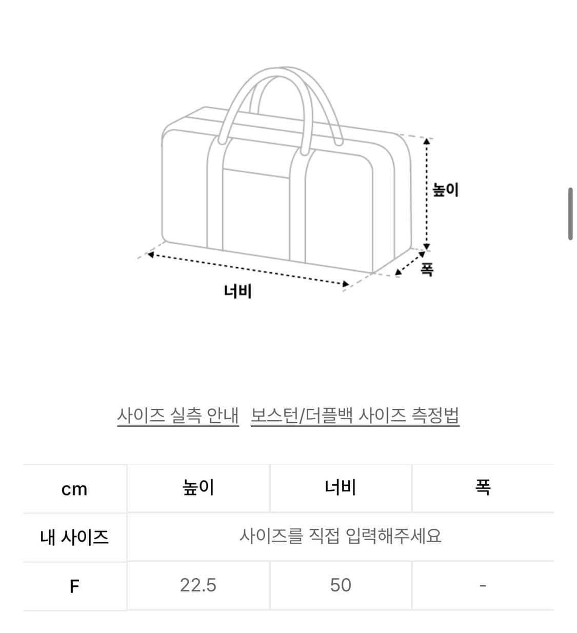 디스이즈네버댓 더플백 상품이미지2
