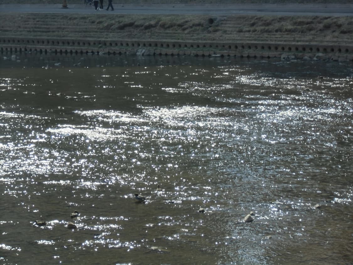 카시오 EX-ZS150 판매(작례 있음) 상품이미지9