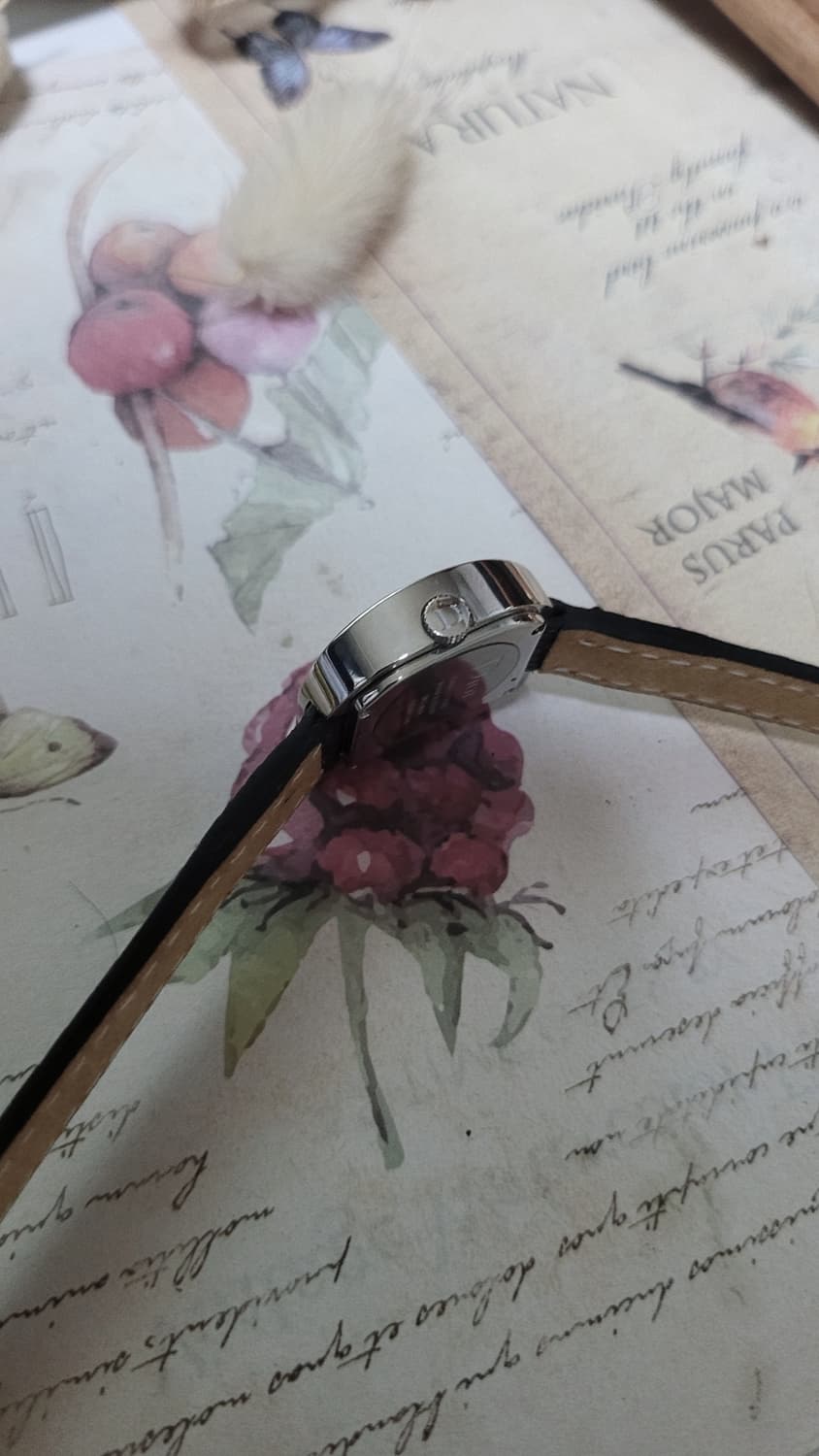 [특가상품] 정품 디올 심플리 디올 쿼츠시계 상품이미지8