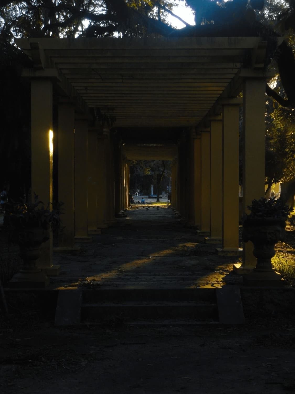 소니 DSC-W350 빈티지 디카 / 리더기 포함 풀셋구성 ! 상품이미지10