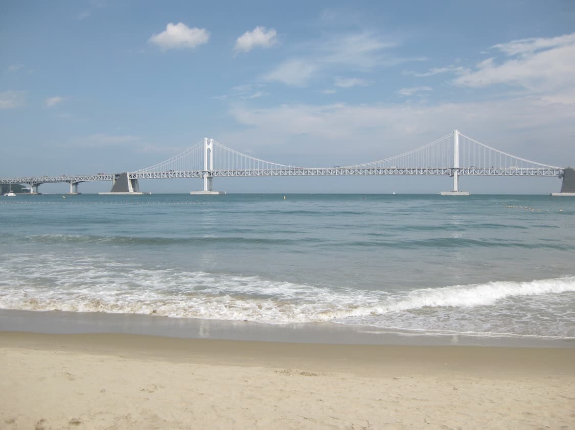 🩷핑크🩷 canon ixus 80 캐논 익서스 80 상품이미지7