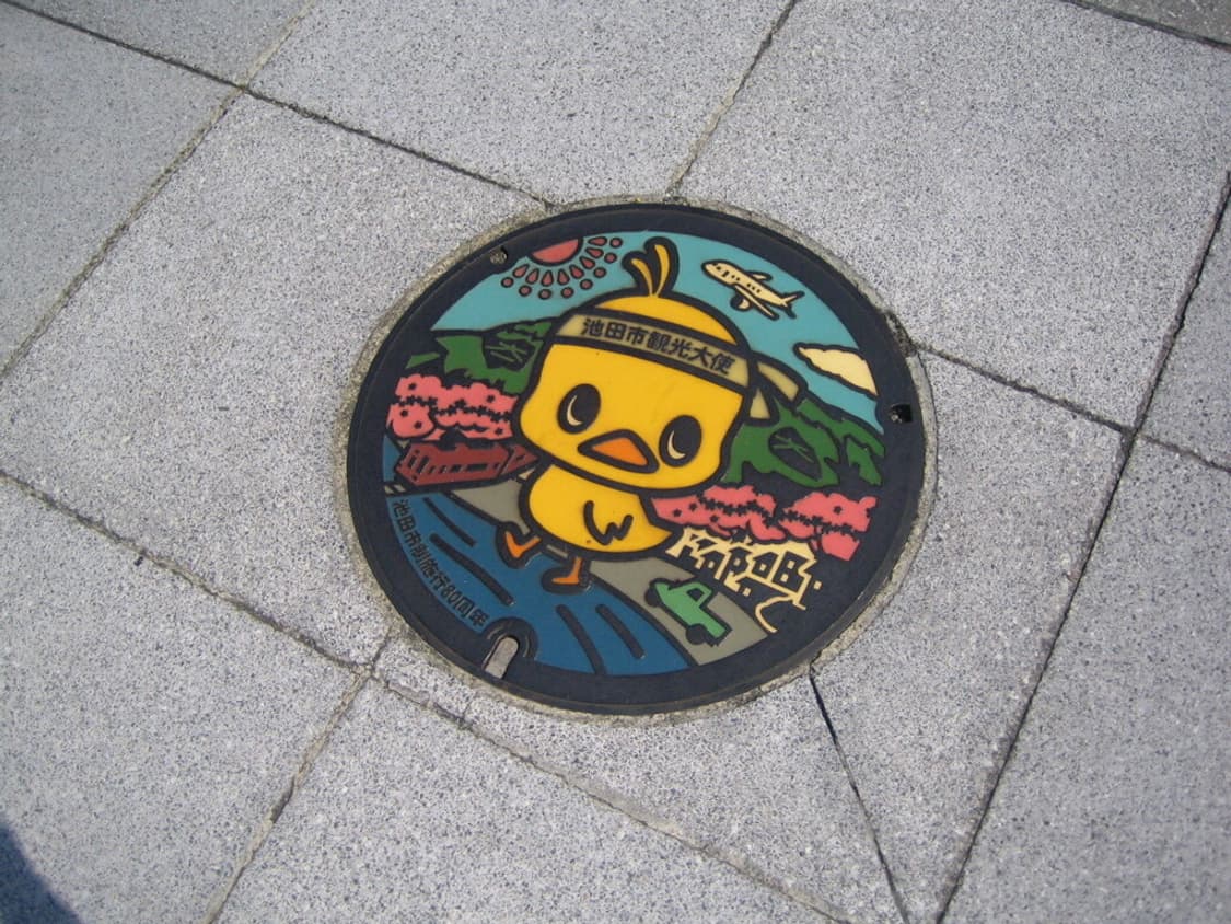 캐논 익서스 Canon IXUS 1000 HS 실버 상품이미지3