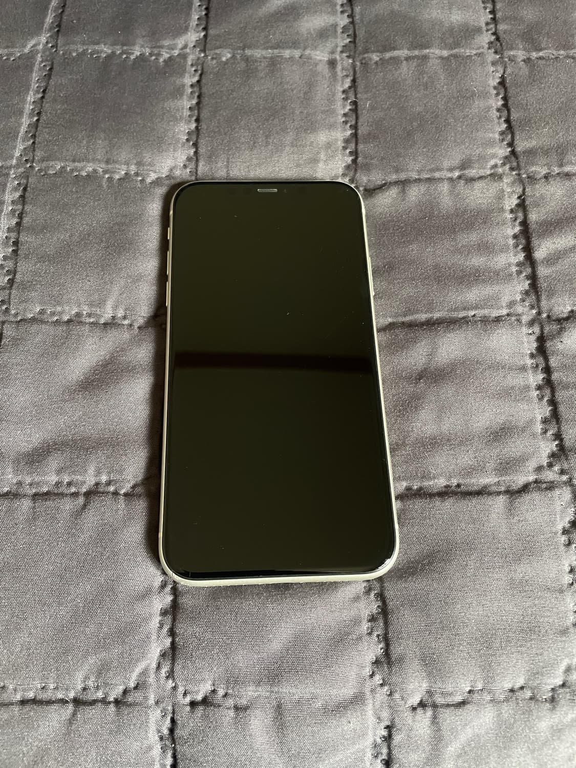 아이폰11 공기계 상품이미지2