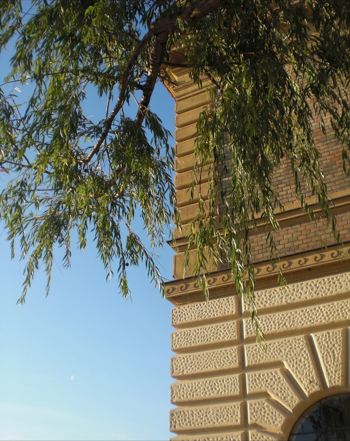 카시오 엑슬림 EX-Z19 🍋 상품이미지7