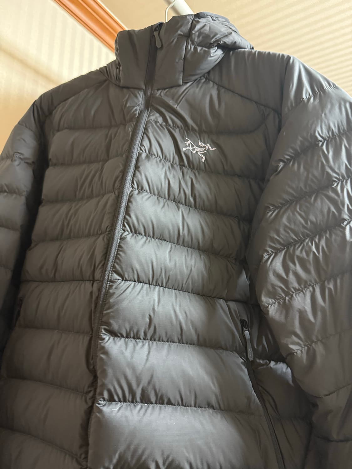 (L)아크테릭스 세륨 블랙 상품이미지3