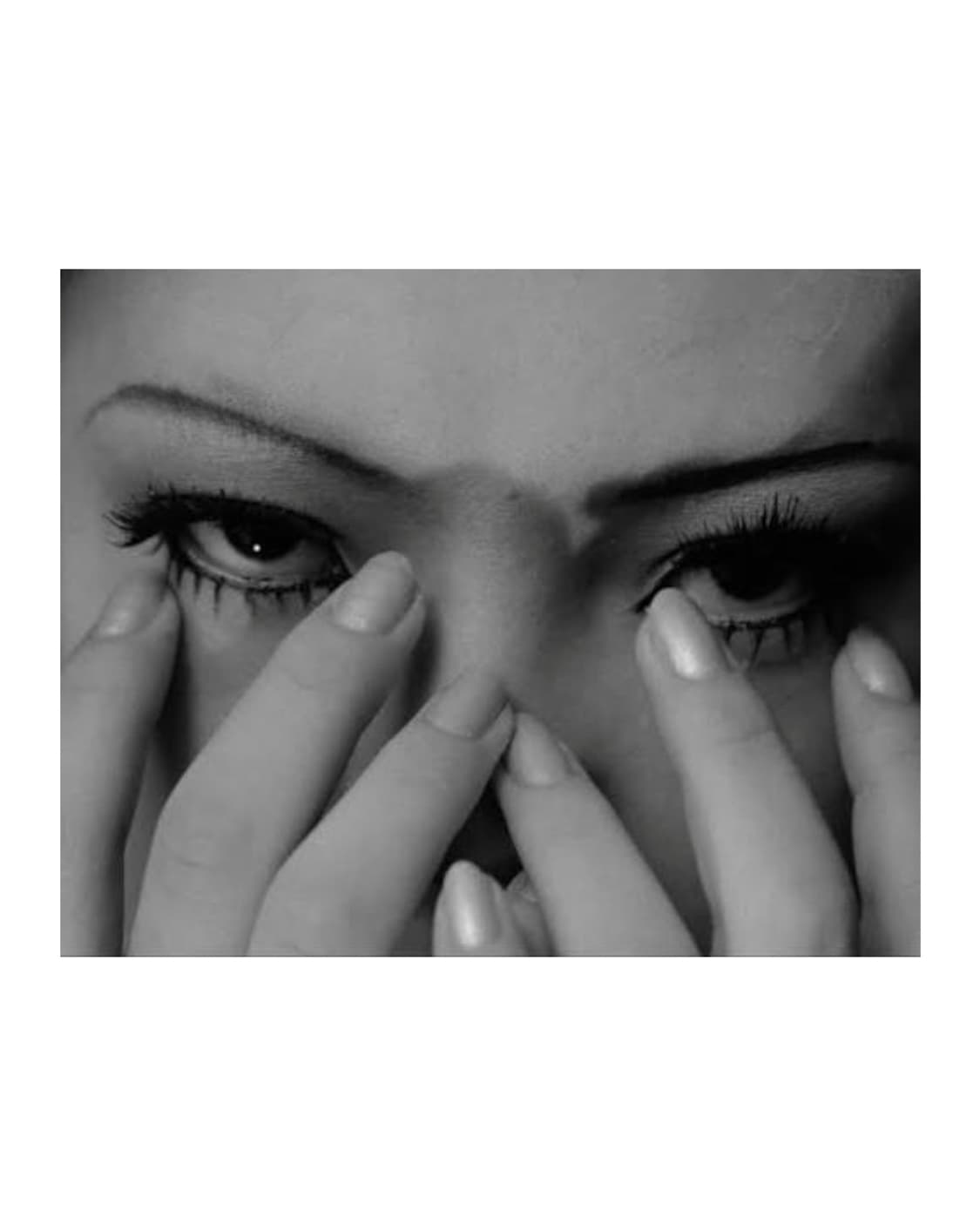 장미의 행렬 브로셔 상품이미지2