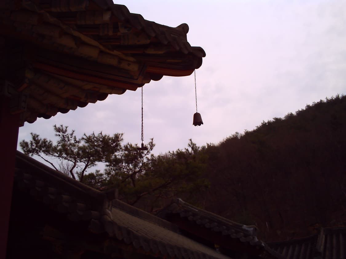 작례O vivitar 비비캠 vc5050  상품이미지9