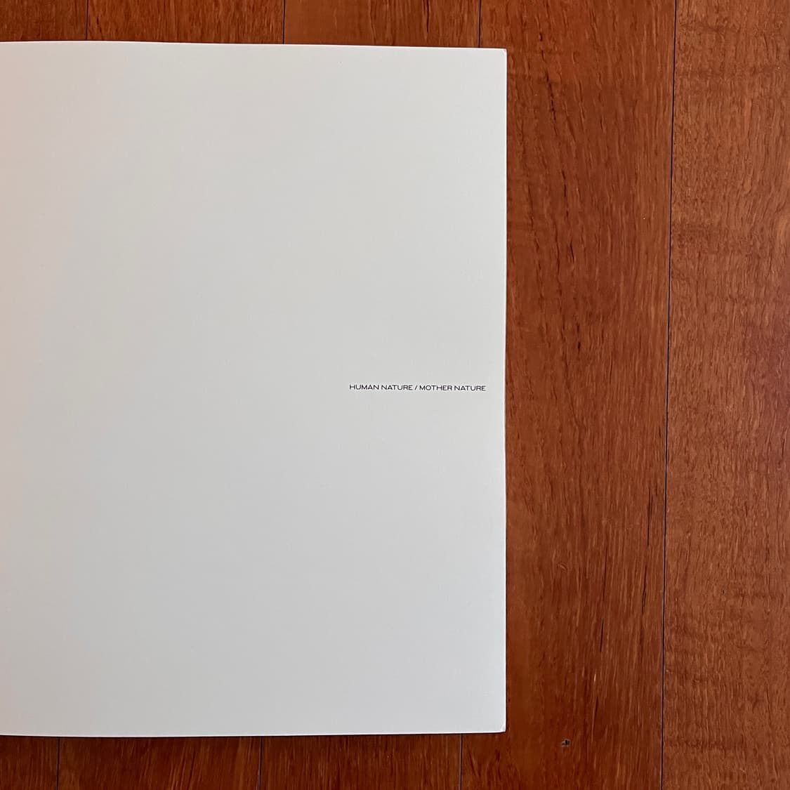 Jil sander & A Magazine / N°21 상품이미지5