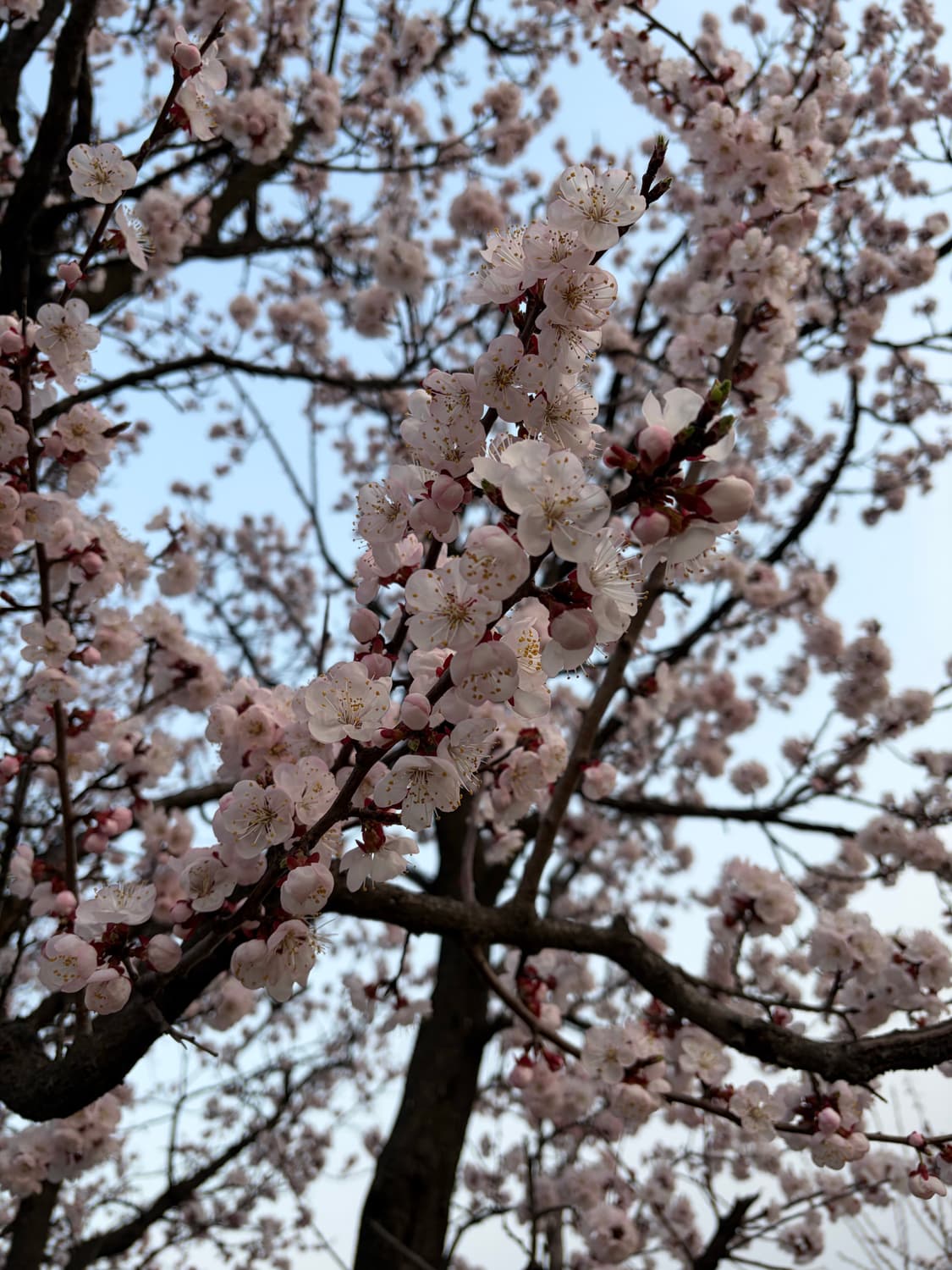 결제용 상품이미지1