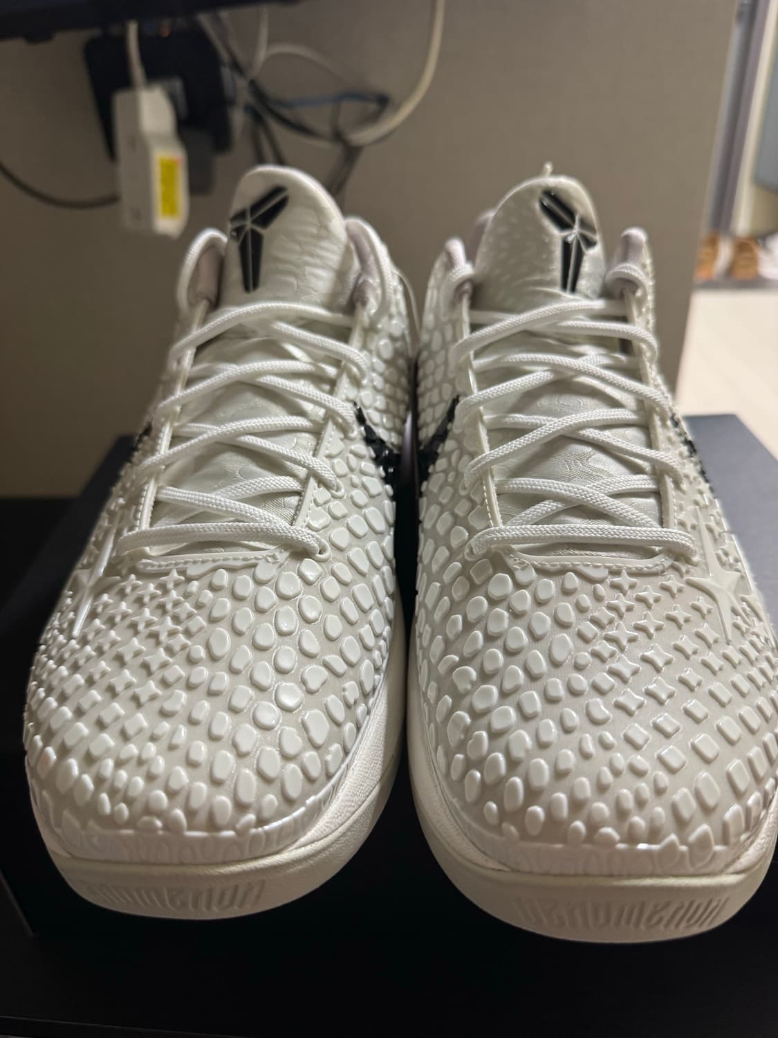 코비6 프로트로 세일  상품이미지4