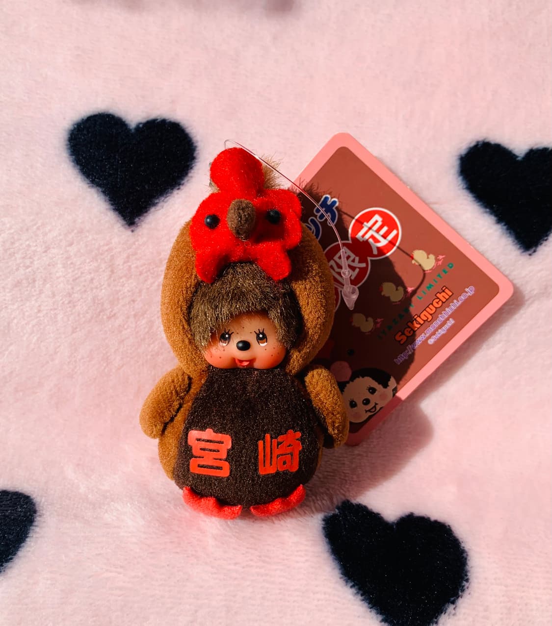 🐔초미니 나고야한정 코친 몬치치 키체인 상품이미지7