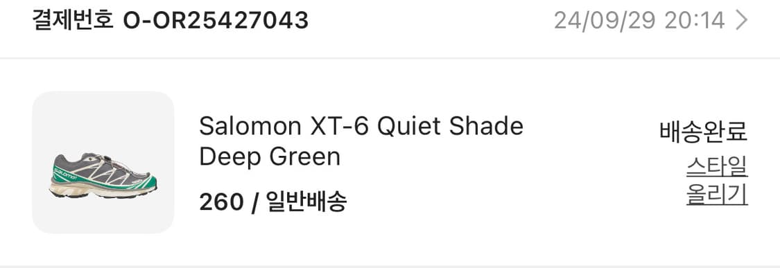 살로몬 xt-6 콰이엇 쉐이드 딥 그린 260 판매 상품이미지6