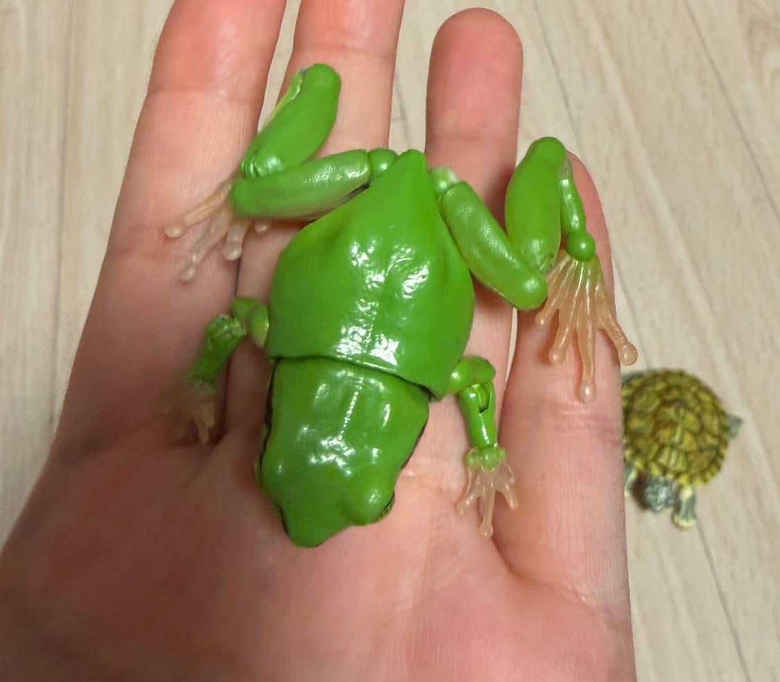 반다이 생물대도감 어드밴스 청개구리01 녹색 상품이미지3