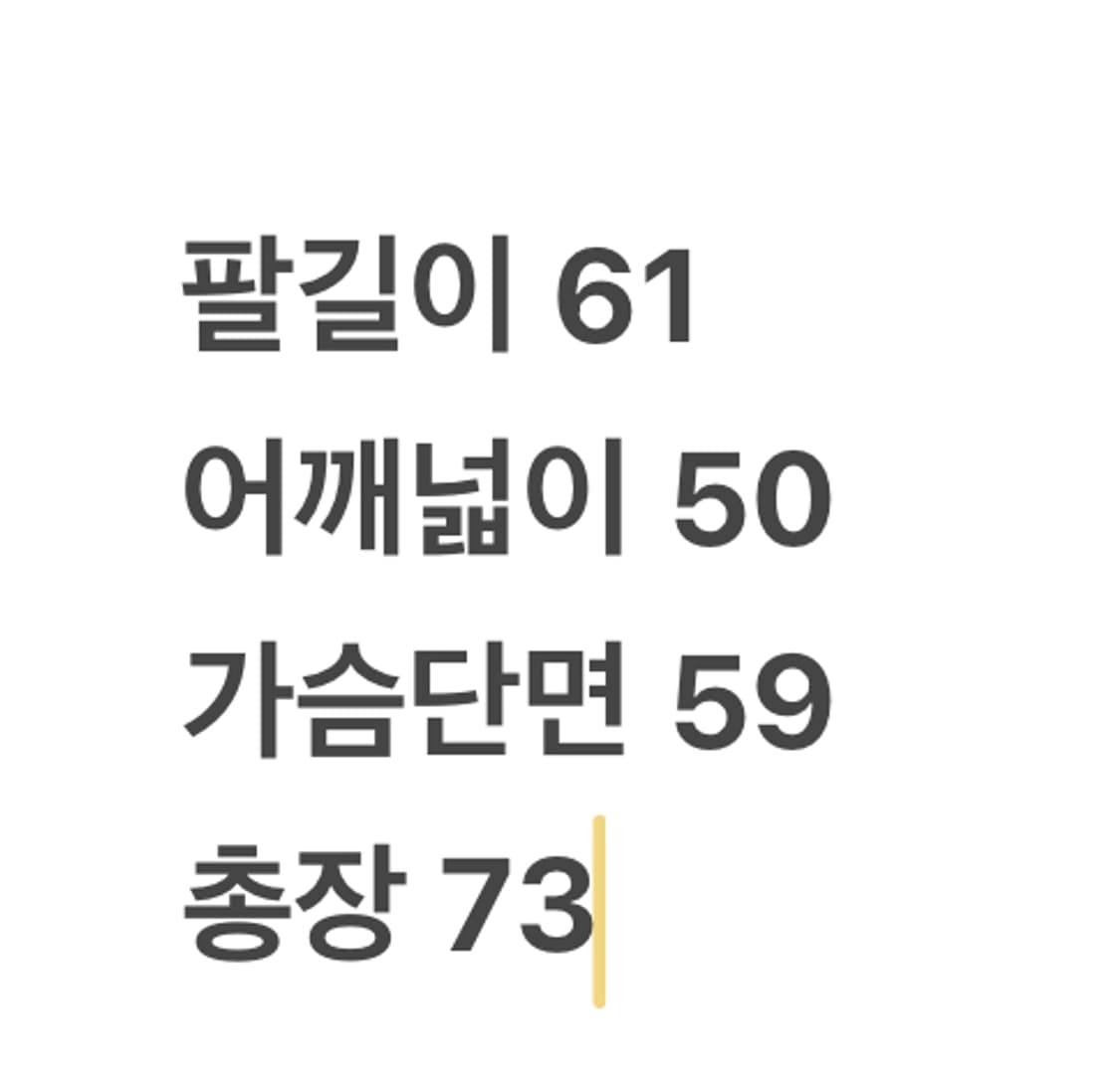 [ 정품/100 ] 노스페이스 써밋시리즈 고어텍스 바람막이 자켓 상품이미지8